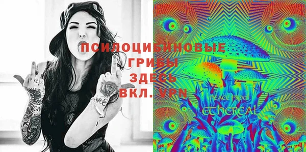 бошки Аркадак
