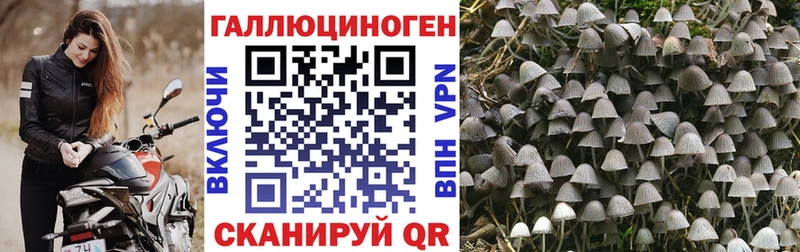 Псилоцибиновые грибы мицелий  Удомля 